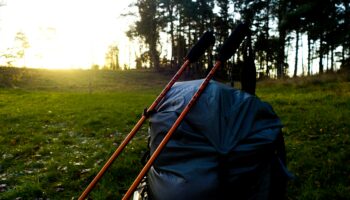Trekking Poles